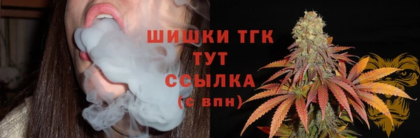 гидропоника Новодвинск