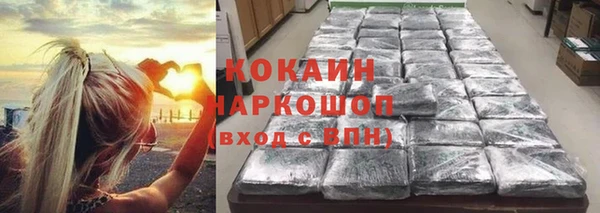 ГАЛЛЮЦИНОГЕННЫЕ ГРИБЫ Новокубанск