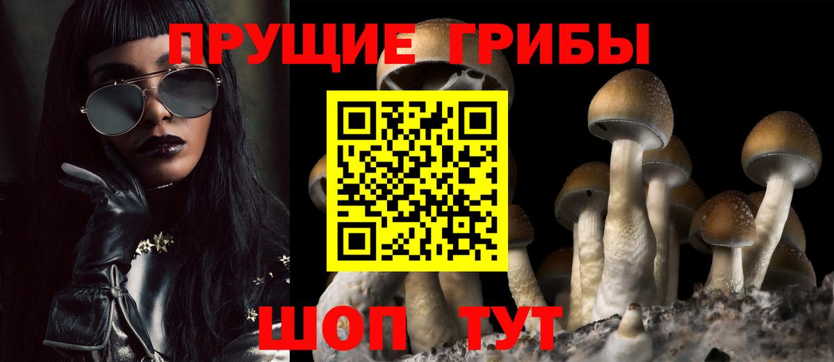 Галлюциногенные грибы прущие грибы Краснокаменск