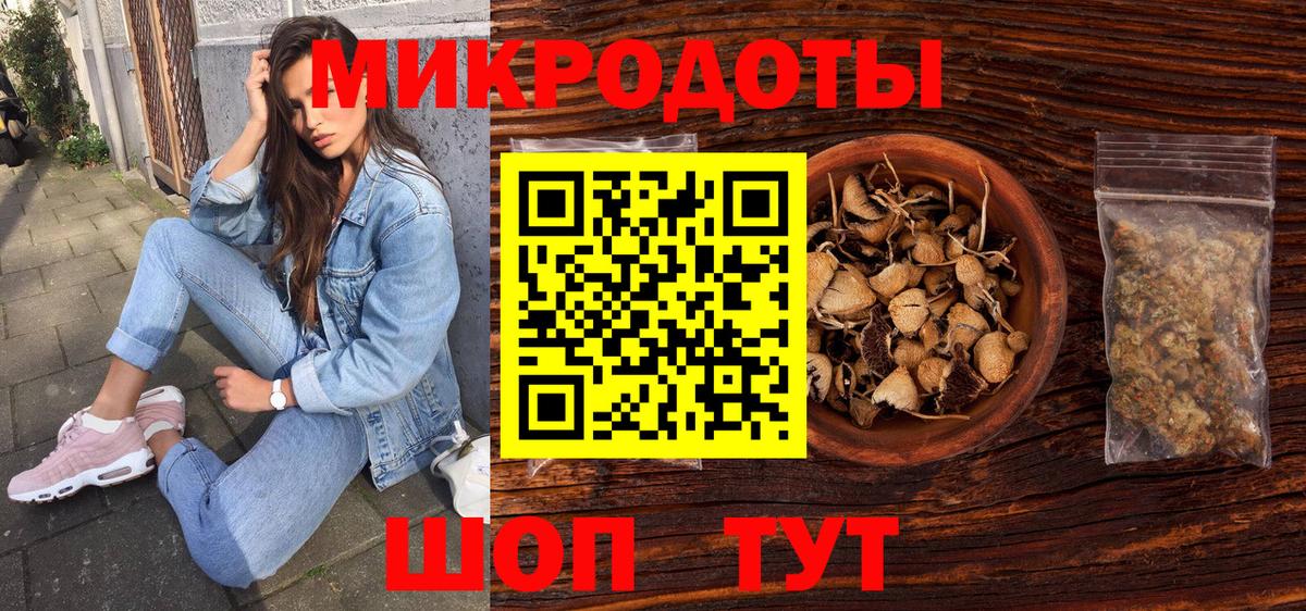 Псилоцибиновые грибы Psilocybe  Краснокаменск 